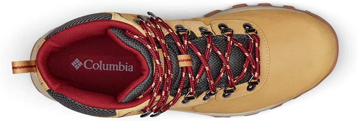 Columbia Men's Newton Ridge Plus Ii Waterproof Hiking Boot Shoe