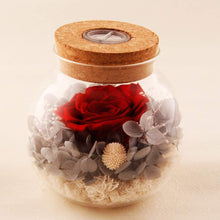 
                        
                          將圖片載入圖庫檢視器 Forever Red Rose, Preserved Eternal Real Flower Present Gorgeous Led Mood Light
                        
                      
