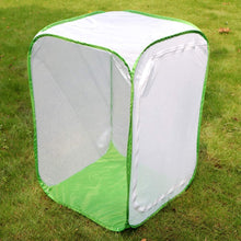 
                        
                          गैलरी व्यूवर में इमेज लोड करें, RESTCLOUD 24" Insect and Butterfly Habitat Monarch Butterfly Enclosure for Caterpillars Pop Up 24 Inches Tall Pack of 2 - JOY2ESpree
                        
                      