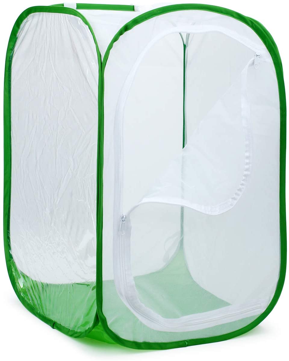 RESTCLOUD 24" Insect and Butterfly Habitat Monarch Butterfly Enclosure for Caterpillars Pop Up 24 Inches Tall Pack of 2 - JOY2ESpree