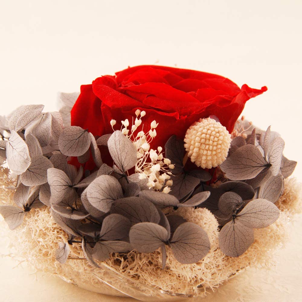 Forever Red Rose, Preserved Eternal Real Flower Present Gorgeous Led Mood Light