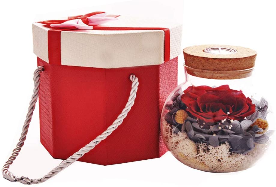 Forever Red Rose, Preserved Eternal Real Flower Present Gorgeous Led Mood Light
