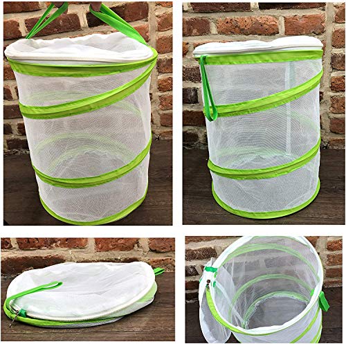 Chyl & Party Pop-up Collapsible Insect and Butterfly Habitat Cage Toy - JOY2ESpree