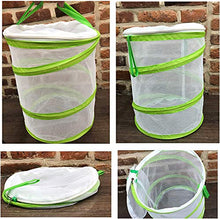 
                        
                          將圖片載入圖庫檢視器 Chyl &amp; Party Pop-up Collapsible Insect and Butterfly Habitat Cage Toy - JOY2ESpree
                        
                      