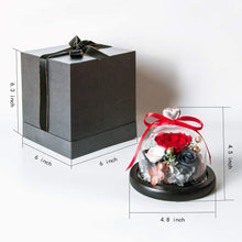 
                        
                          Cargar imagen en el visor de la galería, Eternal Rose- Preserved Flower Rose Handmade Fresh Flower Rose
                        
                      