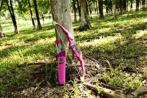 SainSmart Jr. Kids Bow & Arrow Toy, Princess Basic Archery Set Outdoor Hunting Game with 3 Suction Cup Arrows, Target & Quiver, Pink