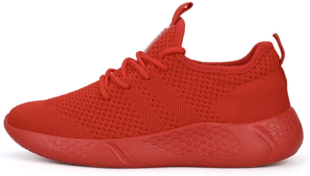 Damyuan Men's Sport Gym Running Shoes Walking Shoes Casual Lace Up Lightweight