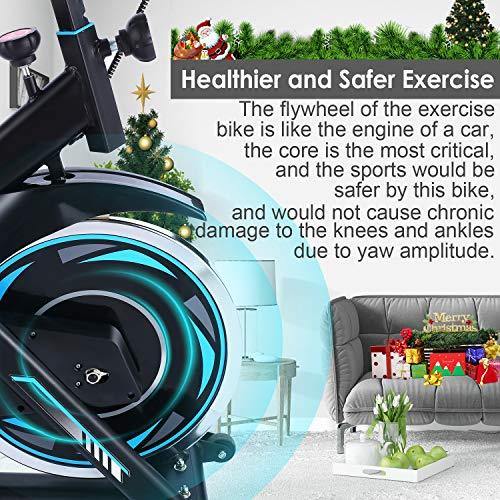 FUNMILY Indoor Exercise Bike Stationary, 49LBS Cycling Bike with Heart Rate Monitor & LCD Monitor - JOY2ESpree