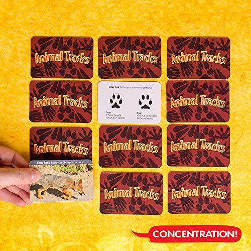The Young Scientists Club Animal Tracks Game By Horizon Group USA - JOY2ESpree
