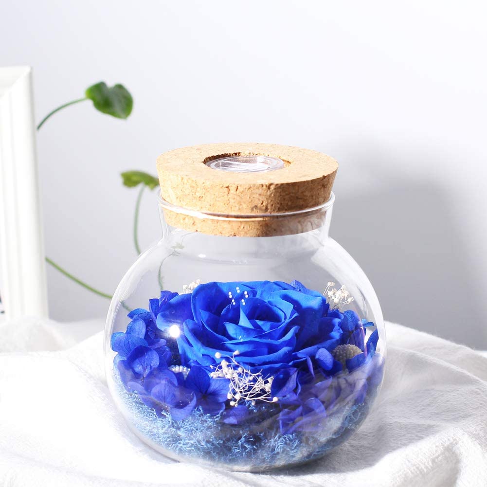 Forever Red Rose, Preserved Eternal Real Flower Present Gorgeous Led Mood Light