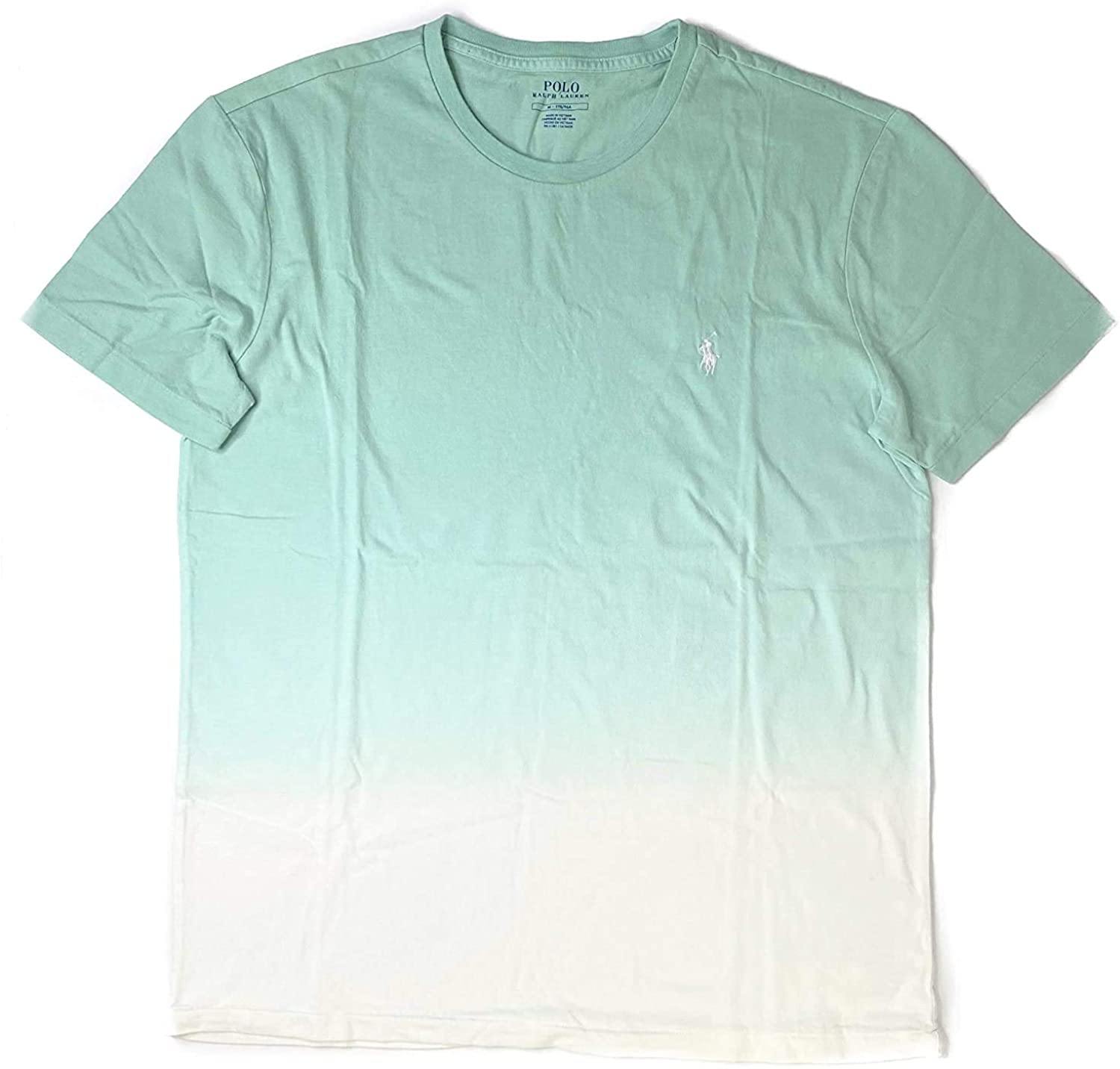 Polo Ralph Lauren Mens Short Sleeve T-Shirt Hampton Purple