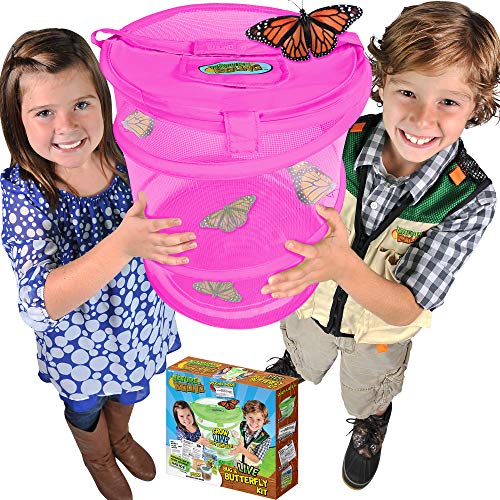 Nature Bound Butterfly Growing Habitat Kit - JOY2ESpree