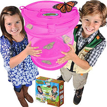 
                        
                          將圖片載入圖庫檢視器 Nature Bound Butterfly Growing Habitat Kit - JOY2ESpree
                        
                      