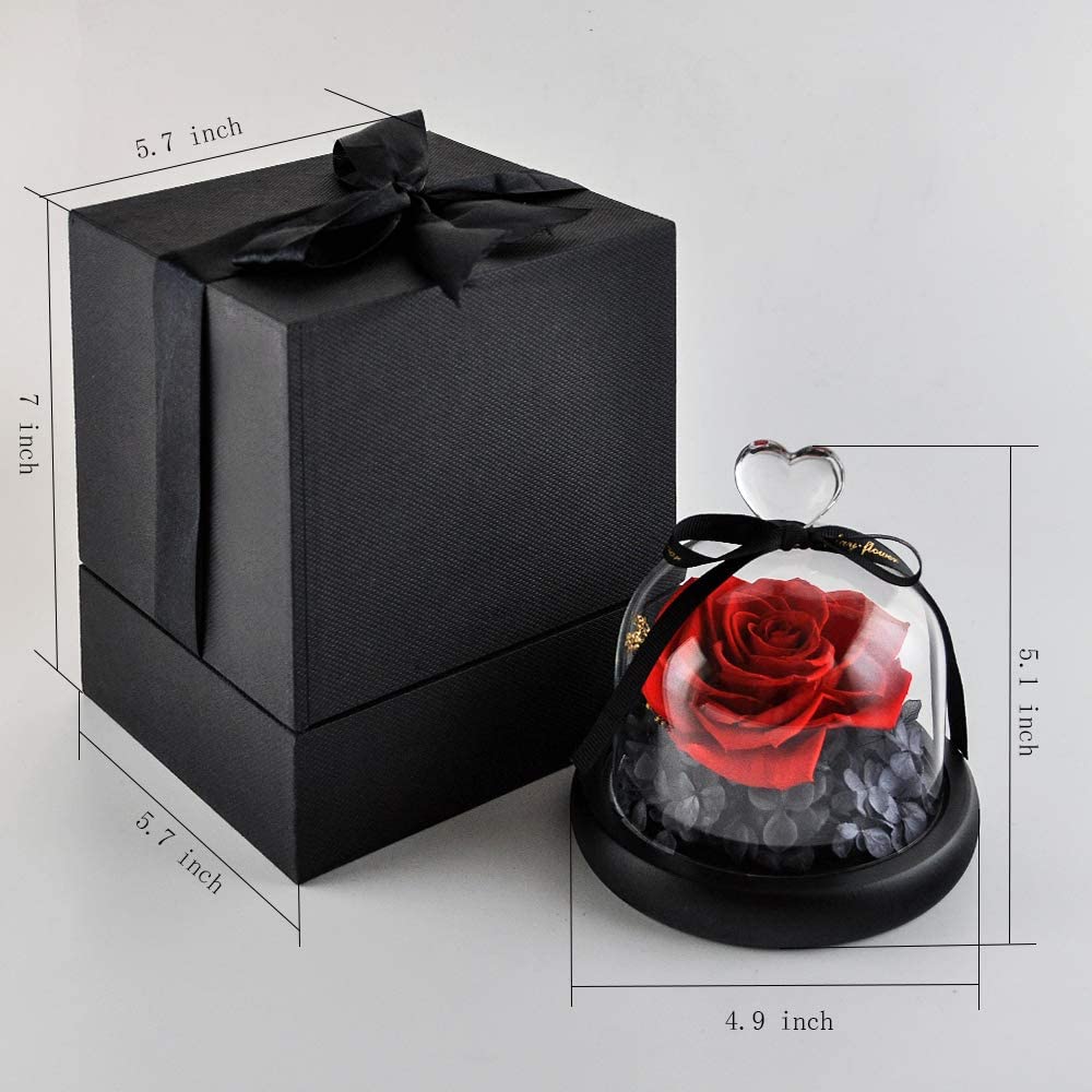 Eternal Rose- Preserved Flower Rose Handmade Fresh Flower Rose