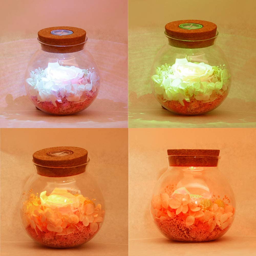 Forever Red Rose, Preserved Eternal Real Flower Present Gorgeous Led Mood Light
