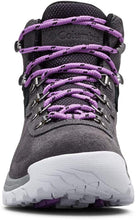 
                        
                          Load image into Gallery viewer, Columbia Women's Newton Ridge Plus Waterproof Amped Hiking Shoe
                        
                      