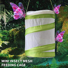 
                        
                          將圖片載入圖庫檢視器 ANTOLL Mini Insect Habitat Cage, Dragonfly Butterfly Flying Insect Mesh Cage - JOY2ESpree
                        
                      