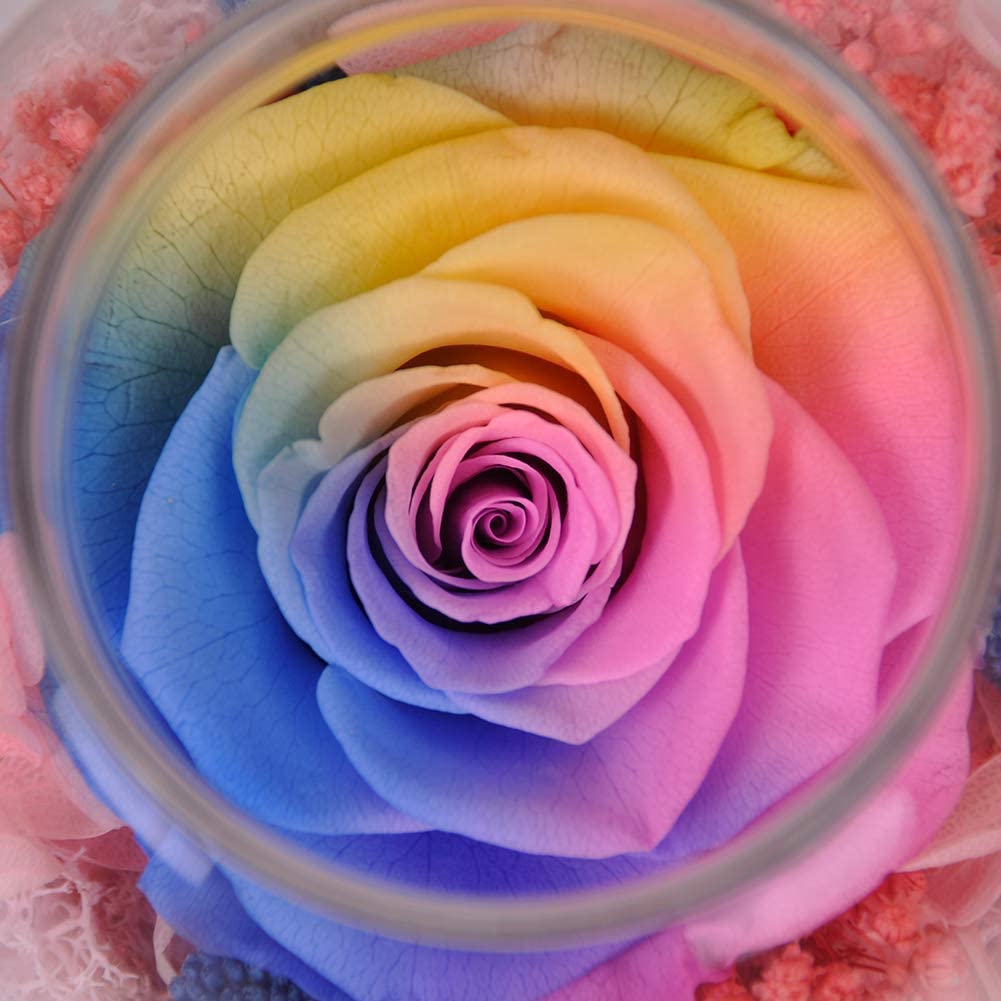 Forever Red Rose, Preserved Eternal Real Flower Present Gorgeous Led Mood Light