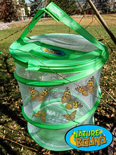
                        
                          將圖片載入圖庫檢視器 Nature Bound Butterfly Growing Habitat Kit - JOY2ESpree
                        
                      