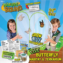 
                        
                          將圖片載入圖庫檢視器 Nature Bound Toys Butterfly Garden Habitat &amp; Terrarium, 24 Inches Tall with Large Zipper and Discount Larvae Coupon Included in Kit, Toy (NB526) - JOY2ESpree
                        
                      