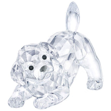 
                        
                          Load image into Gallery viewer, Swarovski Crystal Labrador Puppy Playing Figurine - JOY2ESpree
                        
                      