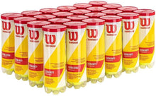 
                        
                          Load image into Gallery viewer, Wilson Championship Extra Duty Tennis Balls - JOY2ESpree
                        
                      