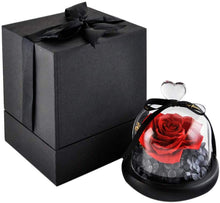 
                        
                          Cargar imagen en el visor de la galería, Eternal Rose- Preserved Flower Rose Handmade Fresh Flower Rose
                        
                      