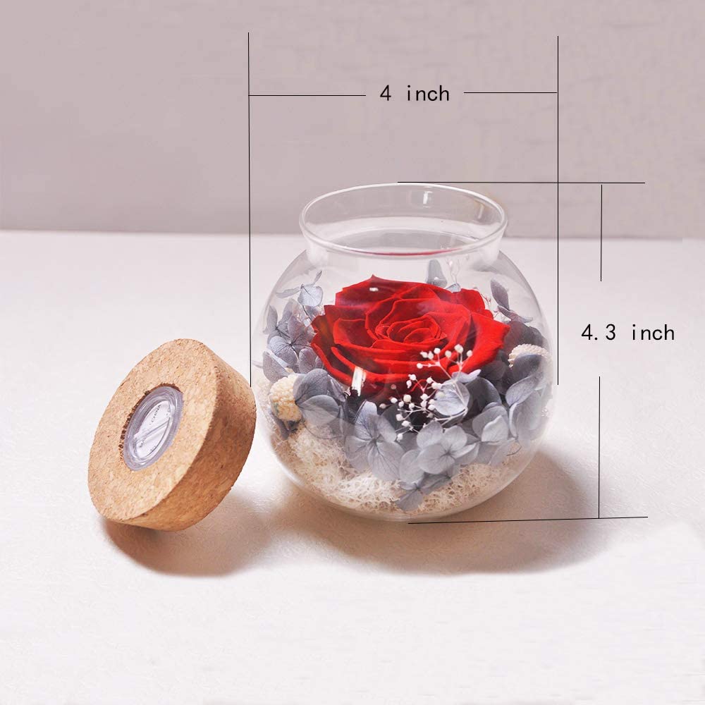 Forever Red Rose, Preserved Eternal Real Flower Present Gorgeous Led Mood Light