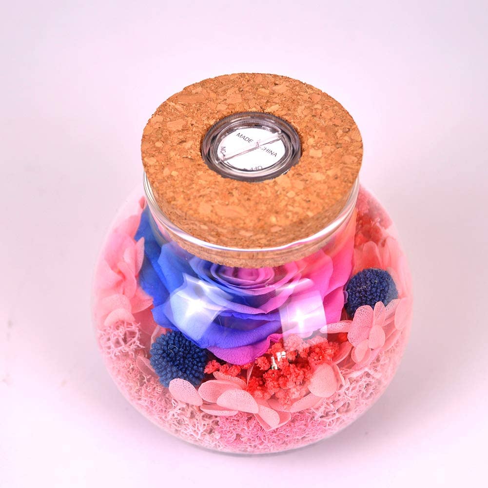 Forever Red Rose, Preserved Eternal Real Flower Present Gorgeous Led Mood Light