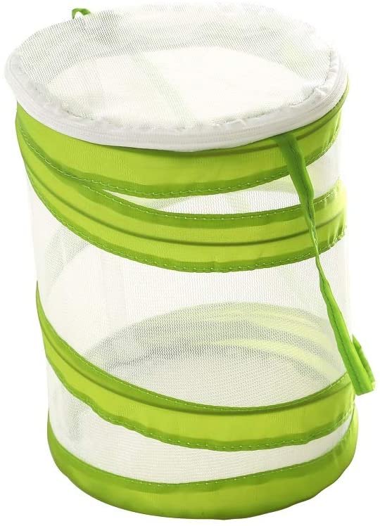 ANTOLL Mini Insect Habitat Cage, Dragonfly Butterfly Flying Insect Mesh Cage - JOY2ESpree