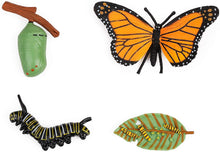 
                        
                          將圖片載入圖庫檢視器 UANDME 4pcs Butterfly Life Cycle Kit Lifestyle Stages of Monarch Butterfly Teaching Tools for Kids, Students - JOY2ESpree
                        
                      