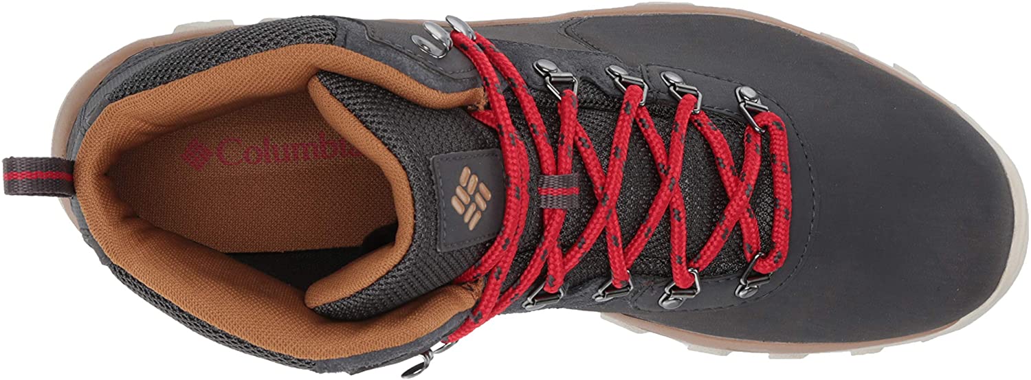 Columbia Men's Newton Ridge Plus Ii Waterproof Hiking Boot Shoe