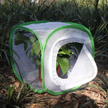 
                        
                          Cargar imagen en el visor de la galería, RESTCLOUD Insect and Butterfly Habitat Cage Terrarium Pop-up 24 Inches Tall with Zipper Protection - JOY2ESpree
                        
                      