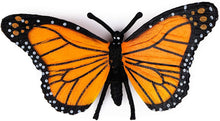 
                        
                          將圖片載入圖庫檢視器 UANDME 4pcs Butterfly Life Cycle Kit Lifestyle Stages of Monarch Butterfly Teaching Tools for Kids, Students - JOY2ESpree
                        
                      