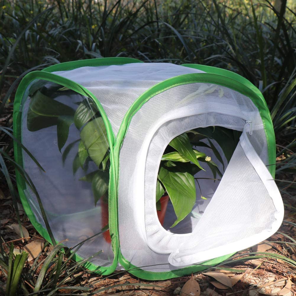 RESTCLOUD Insect and Butterfly Habitat Cage Terrarium Pop-up 24 Inches Tall with Zipper Protection - JOY2ESpree