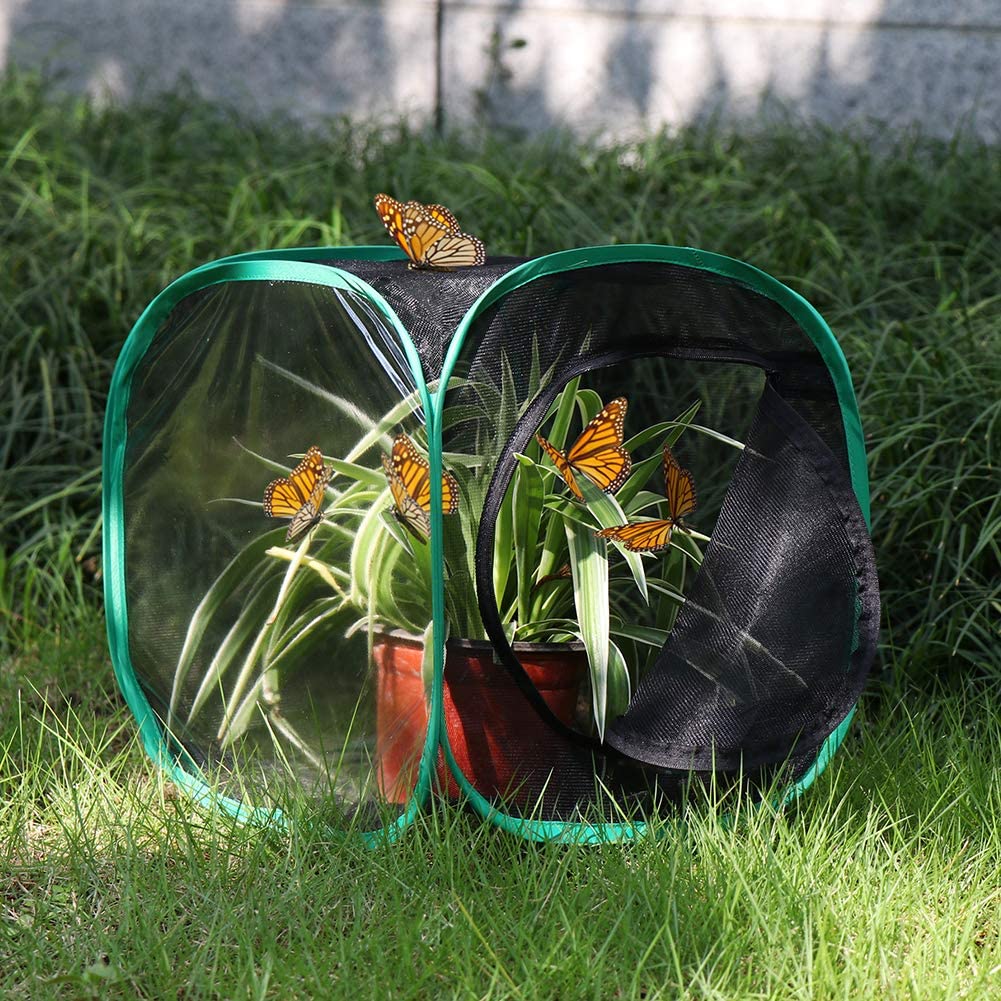 RESTCLOUD Insect and Butterfly Habitat Cage Terrarium Pop-up 23.6 Inches Tall - JOY2ESpree