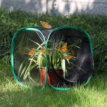 
                        
                          Muat gambar ke penampil Galeri, RESTCLOUD Insect and Butterfly Habitat Cage Terrarium Pop-up 23.6 Inches Tall - JOY2ESpree
                        
                      