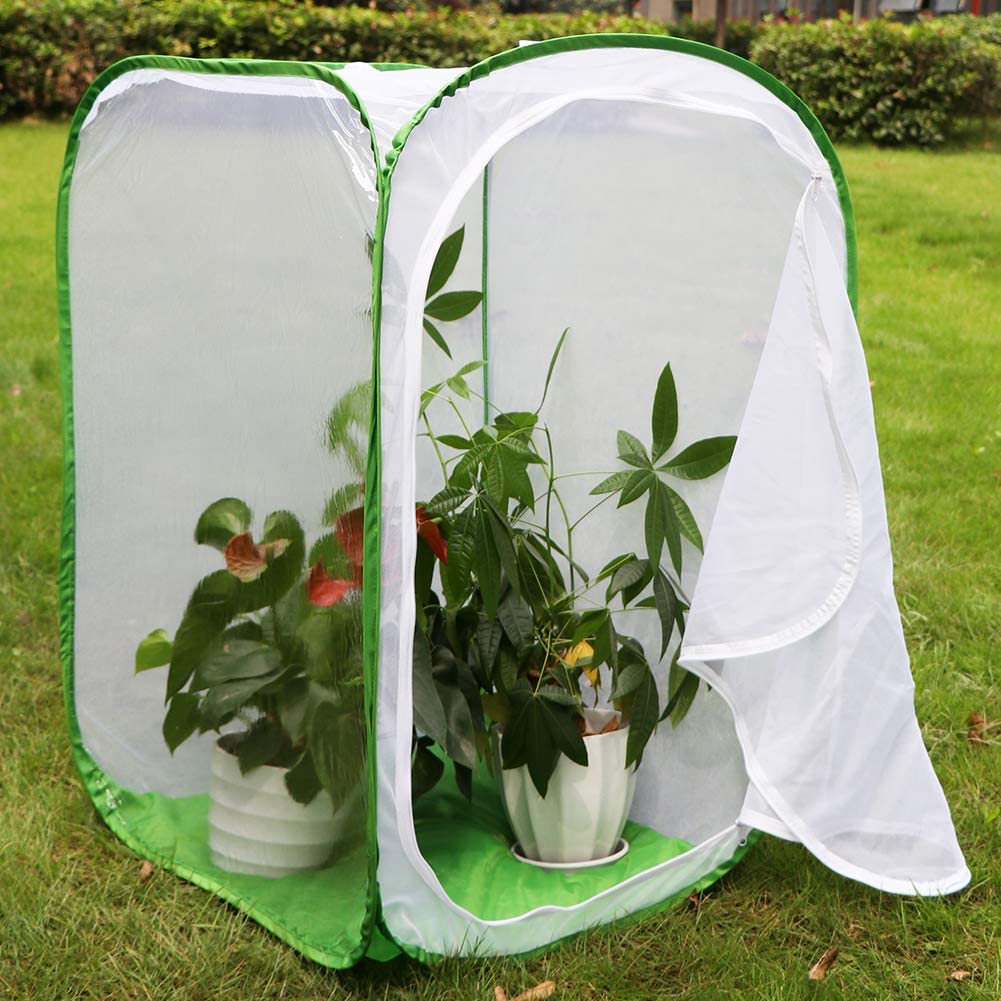 RESTCLOUD 24" Insect and Butterfly Habitat Monarch Butterfly Enclosure for Caterpillars Pop Up 24 Inches Tall Pack of 2 - JOY2ESpree