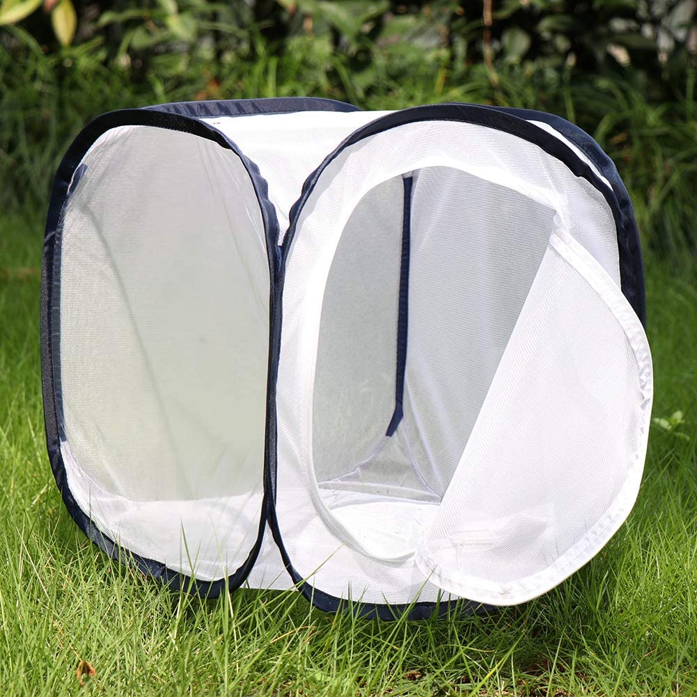 RESTCLOUD Insect and Butterfly Habitat Cage Terrarium Pop-up 23.6 Inches Tall - JOY2ESpree