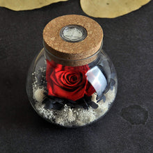 
                        
                          將圖片載入圖庫檢視器 Forever Red Rose, Preserved Eternal Real Flower Present Gorgeous Led Mood Light
                        
                      