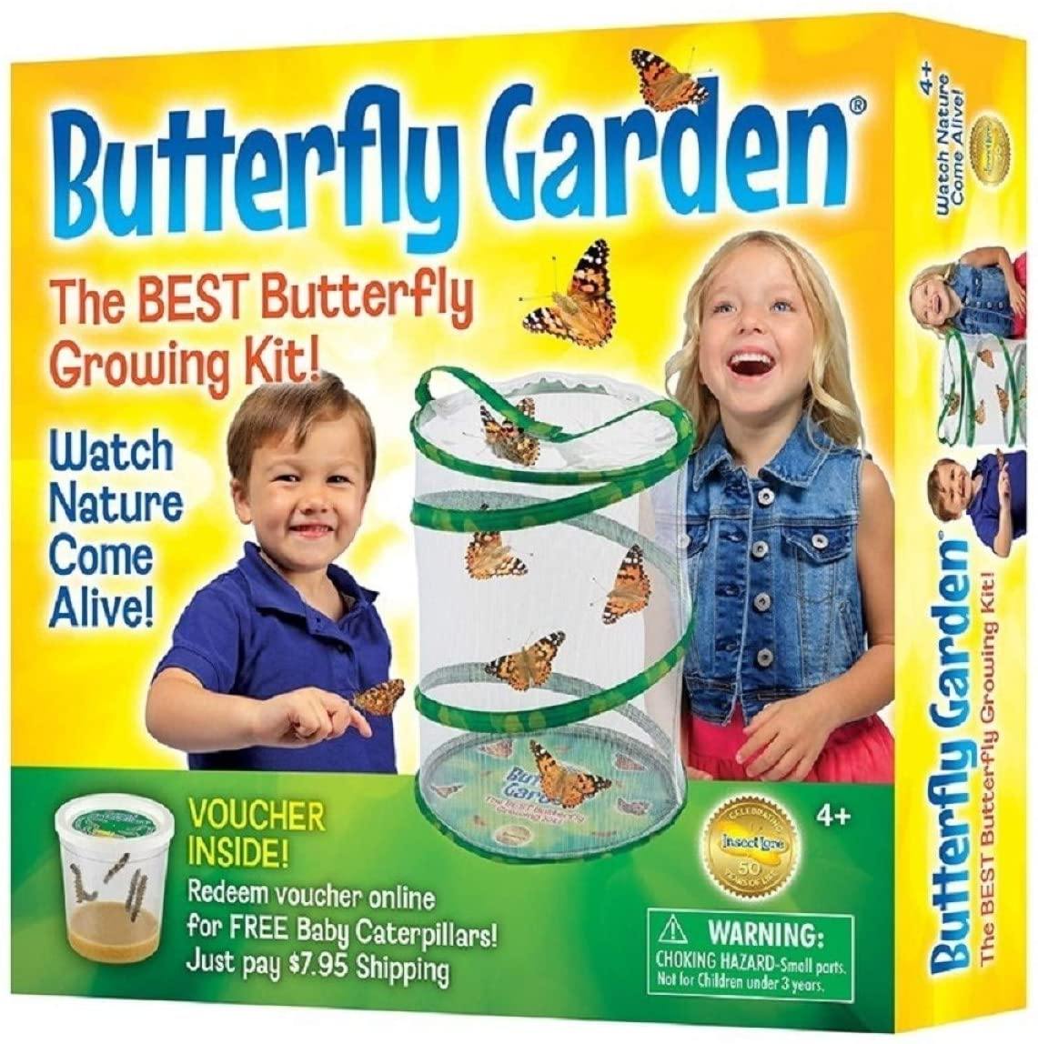 Insect Lore - BH Butterfly Growing Kit - With Voucher to Redeem Caterpillars Later - JOY2ESpree