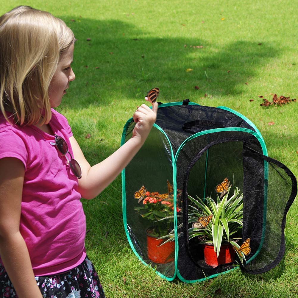 RESTCLOUD Insect and Butterfly Habitat Cage Terrarium Pop-up 23.6 Inches Tall - JOY2ESpree