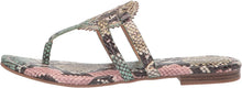 
                        
                          Load image into Gallery viewer, Circus by Sam Edelman Women's Canyon Flat Sandal
                        
                      