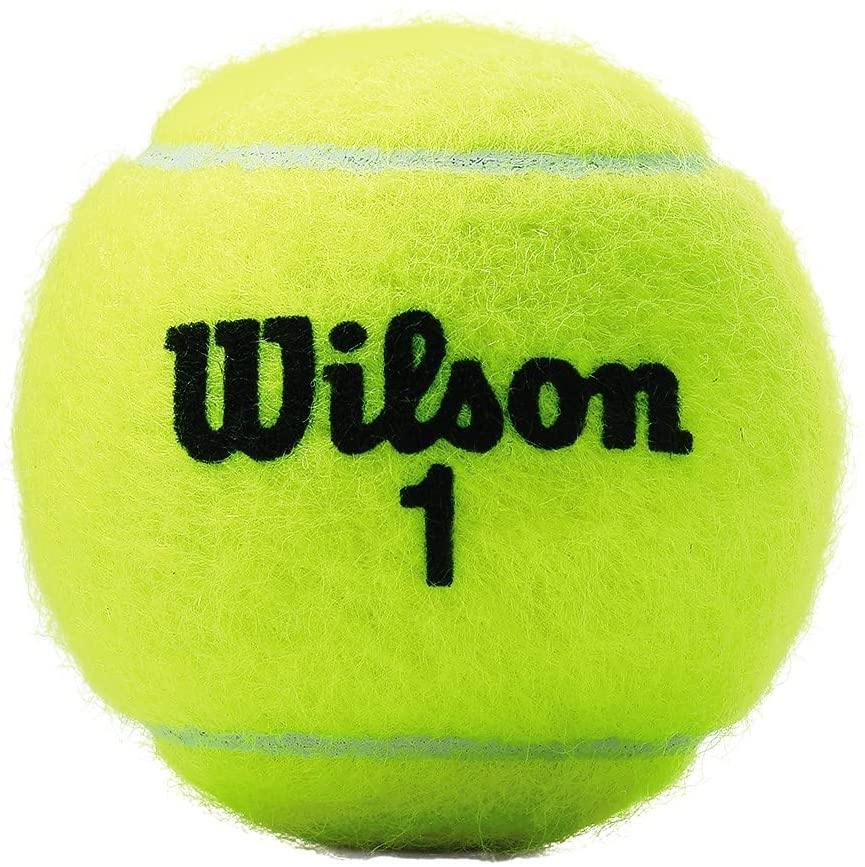 Wilson Championship Tennis Balls - JOY2ESpree