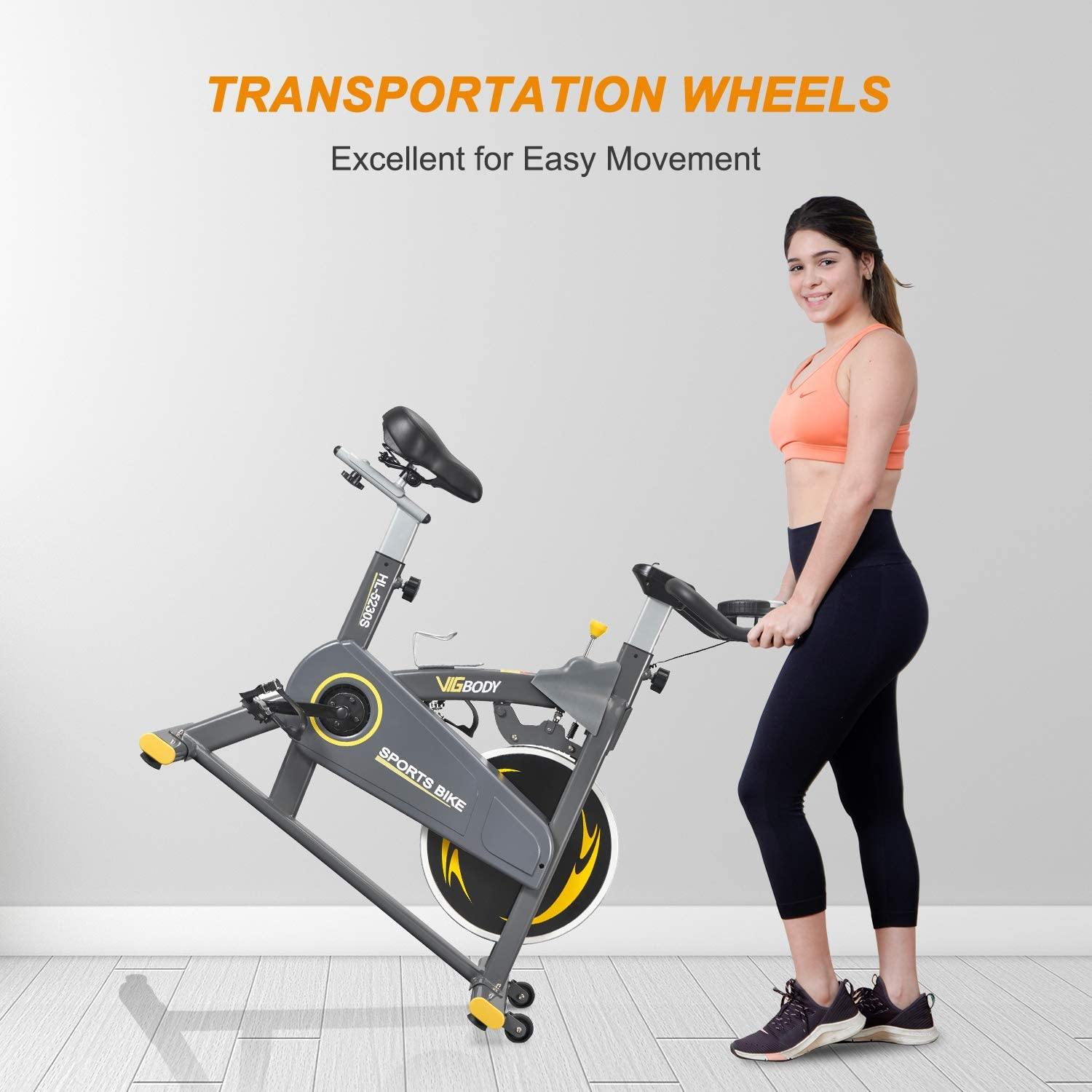 VIGBODY Exercise Bike Indoor Cycling Bike Adjustable Stationary Bicycle - JOY2ESpree