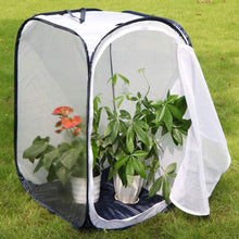 
                        
                          गैलरी व्यूवर में इमेज लोड करें, RESTCLOUD 36" Large Monarch Butterfly Habitat, Giant Collapsible Insect Mesh Cage Terrarium Pop-up 24 x 24 x 36 Inches - JOY2ESpree
                        
                      