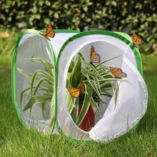 
                        
                          Muat gambar ke penampil Galeri, RESTCLOUD Insect and Butterfly Habitat Cage Terrarium Pop-up 23.6 Inches Tall - JOY2ESpree
                        
                      