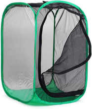 
                        
                          गैलरी व्यूवर में इमेज लोड करें, RESTCLOUD 36" Large Monarch Butterfly Habitat, Giant Collapsible Insect Mesh Cage Terrarium Pop-up 24 x 24 x 36 Inches - JOY2ESpree
                        
                      