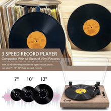 
                        
                          Muat gambar ke penampil Galeri, Retro Record Player for 33/45/78 RPM Vinyl Records,Bluetooth Belt-Drive Turntable - JOY2ESpree
                        
                      