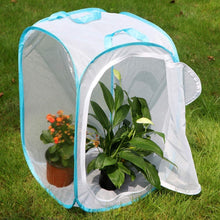 
                        
                          गैलरी व्यूवर में इमेज लोड करें, RESTCLOUD 36" Large Monarch Butterfly Habitat, Giant Collapsible Insect Mesh Cage Terrarium Pop-up 24 x 24 x 36 Inches - JOY2ESpree
                        
                      